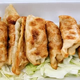 Fried potstickers on shredded cabbage