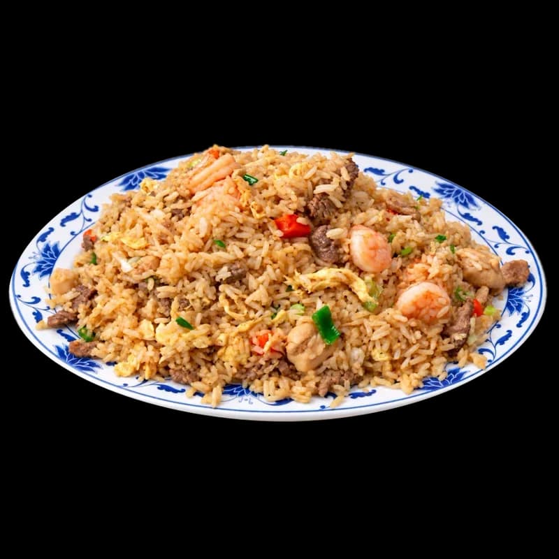 Young chow fried rice with beef, chicken and shrimp